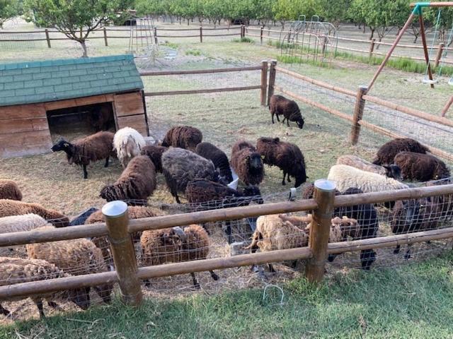 Agriturismo San Michele San Michele  Dış mekan fotoğraf